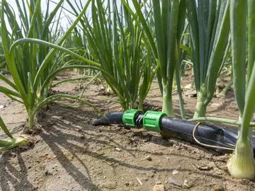 The Irri360°-AgriSystem irrigation system increases efficiency during irrigation